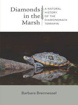 cover image of Diamonds in the Marsh